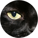 Xevi Mesones Xevi Mesones